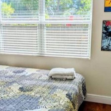 Spacious House With Big Backyard In N. Hyde Park / Close To Downtown Tampa Bagian luar foto