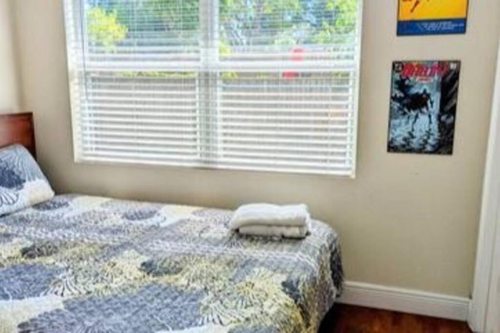 Spacious House With Big Backyard In N. Hyde Park / Close To Downtown Tampa Bagian luar foto